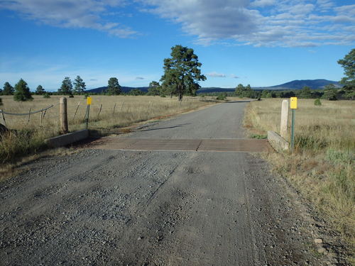 GDMBR: This National Forest fence line is on the Continental Divide.